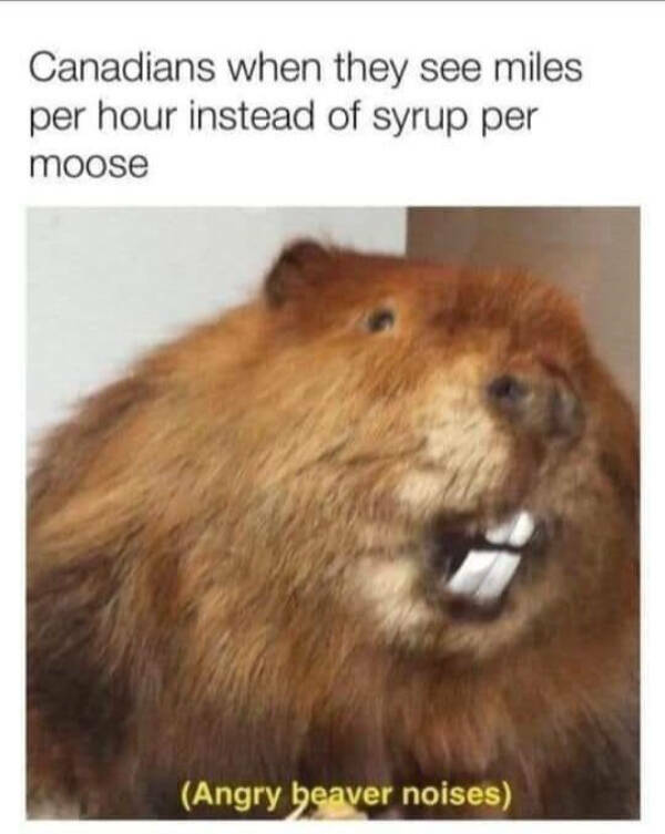 These Canadian Memes Are Hilarious