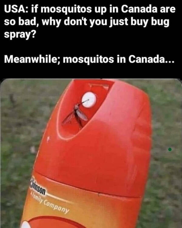 These Canadian Memes Are Hilarious