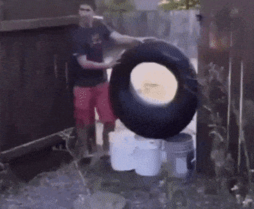 Daily Gifdump Daily Gifdump