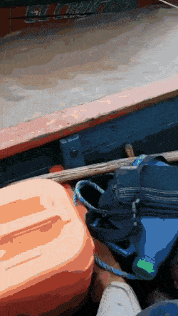 Daily Gifdump Daily Gifdump