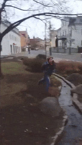 Daily Gifdump Daily Gifdump