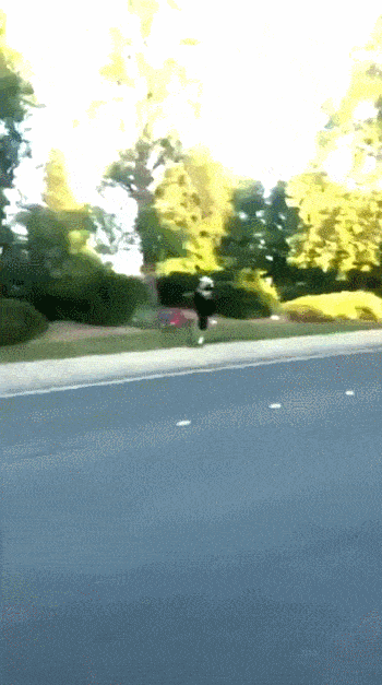 Daily Gifdump Daily Gifdump