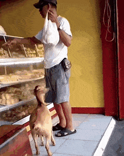 Daily Gifdump Daily Gifdump