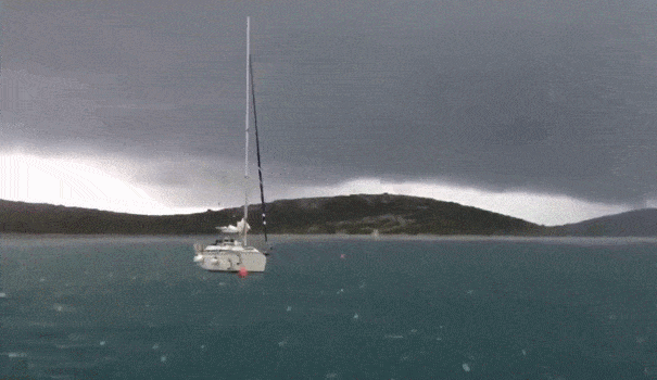 Daily Gifdump Daily Gifdump