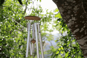 Everyday Sounds That Secretly Drive Us Crazy