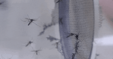 Everyday Sounds That Secretly Drive Us Crazy