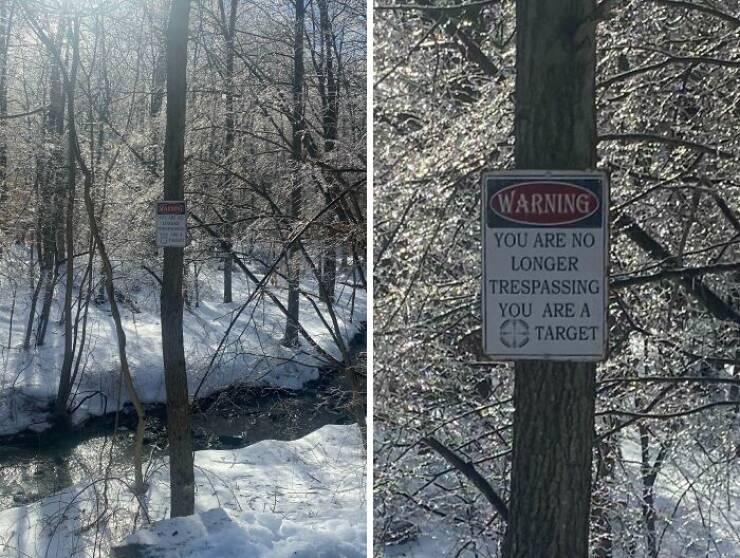 Creepy Things Found Deep in the Woods