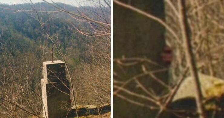 Creepy Things Found Deep in the Woods