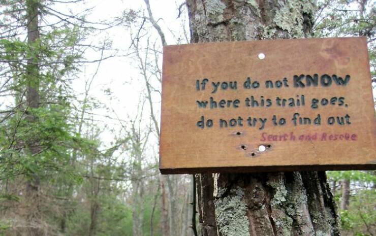 Creepy Things Found Deep in the Woods