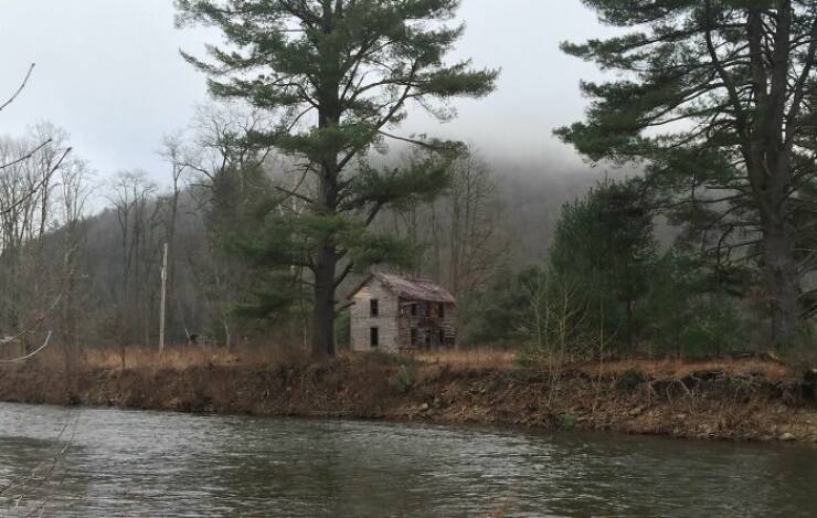 Creepy Things Found Deep in the Woods