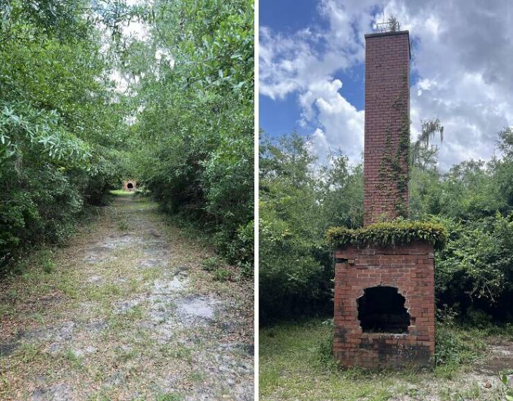 Creepy Things Found Deep in the Woods