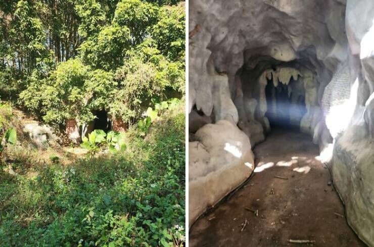 Creepy Things Found Deep in the Woods