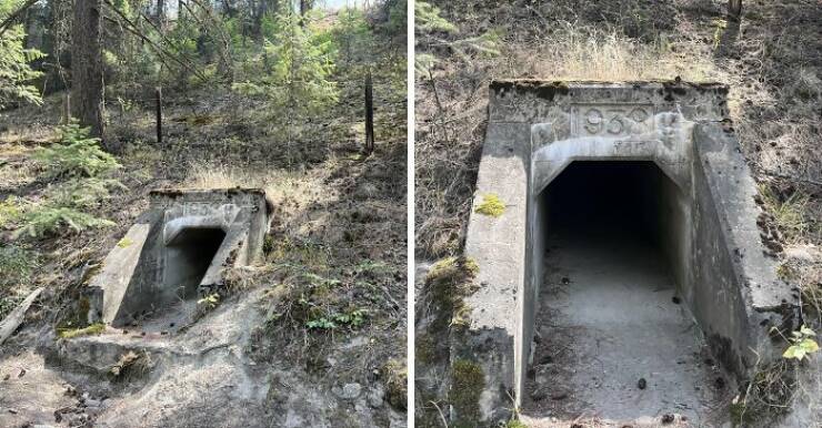 Creepy Things Found Deep in the Woods