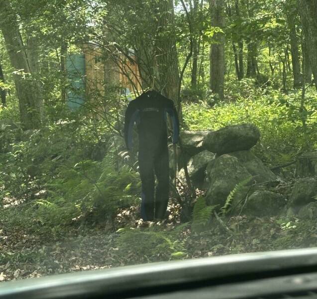 Creepy Things Found Deep in the Woods