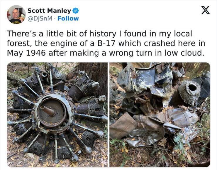 Creepy Things Found Deep in the Woods