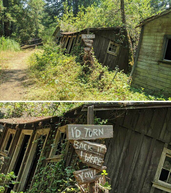 Creepy Things Found Deep in the Woods