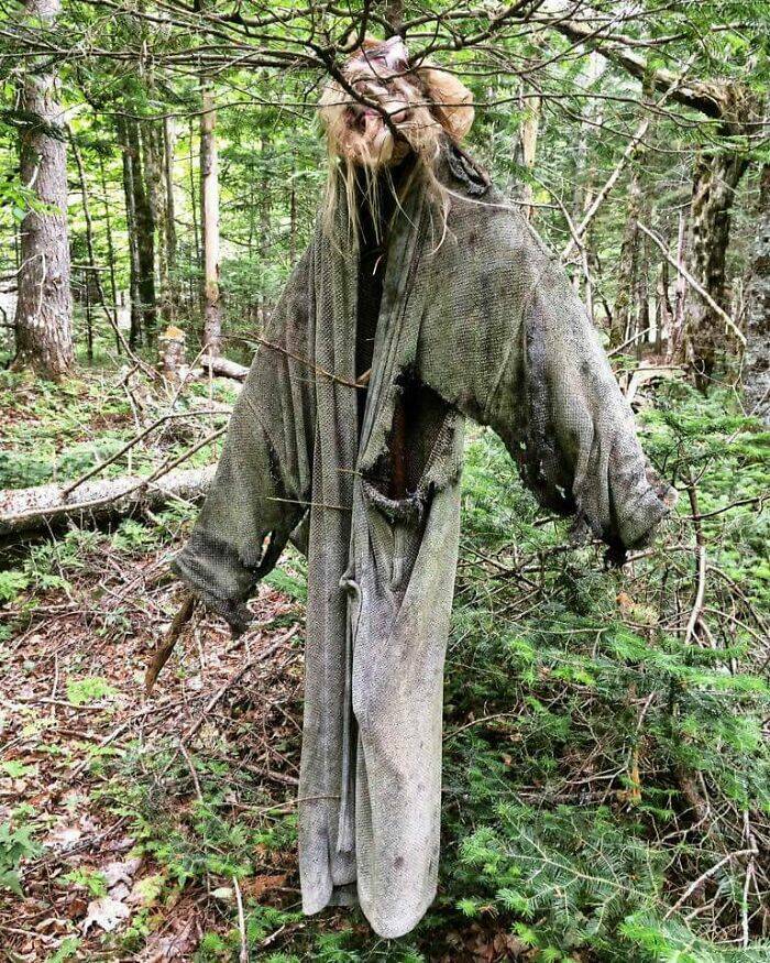 Creepy Things Found Deep in the Woods