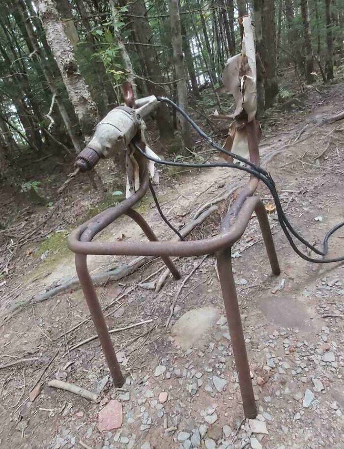 Creepy Things Found Deep in the Woods