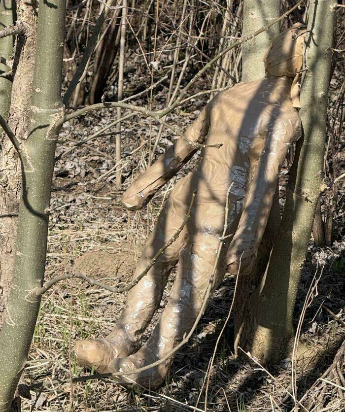 Creepy Things Found Deep in the Woods