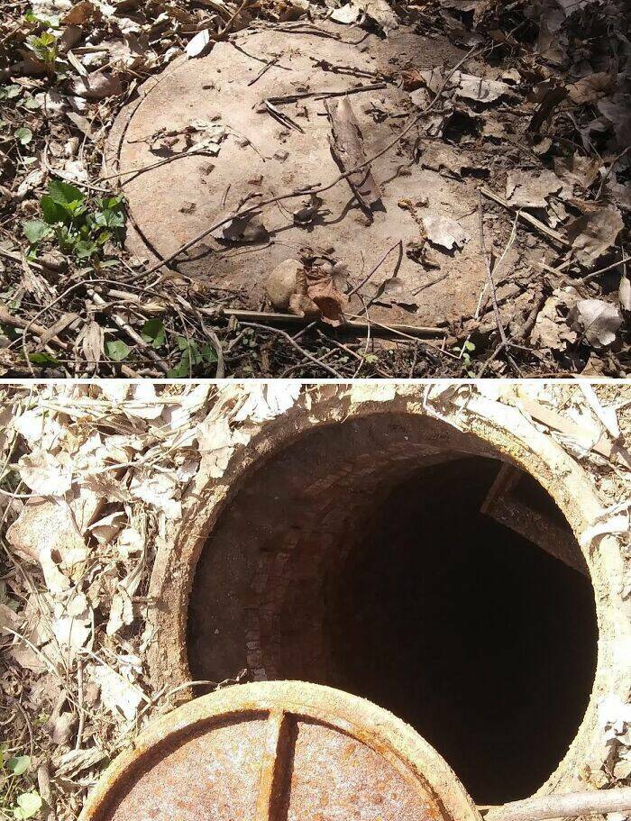 Creepy Things Found Deep in the Woods