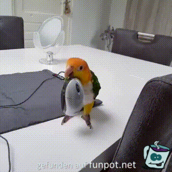 Daily Gifdump Daily Gifdump