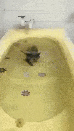 Daily Gifdump Daily Gifdump