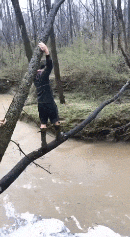 Daily Gifdump Daily Gifdump