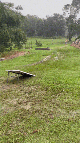 Daily Gifdump Daily Gifdump