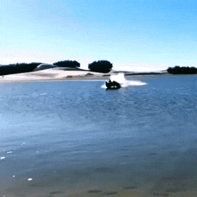 Daily Gifdump Daily Gifdump