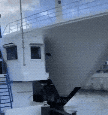 Daily Gifdump Daily Gifdump