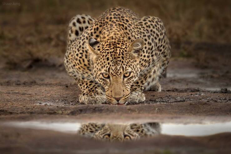 Daily Picdump Daily Picdump