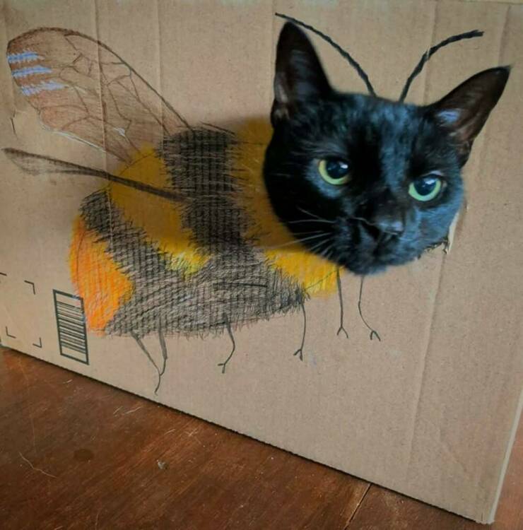 Daily Picdump Daily Picdump