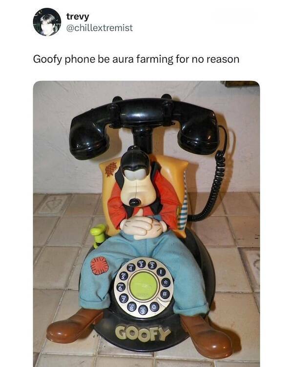 Daily Picdump Daily Picdump