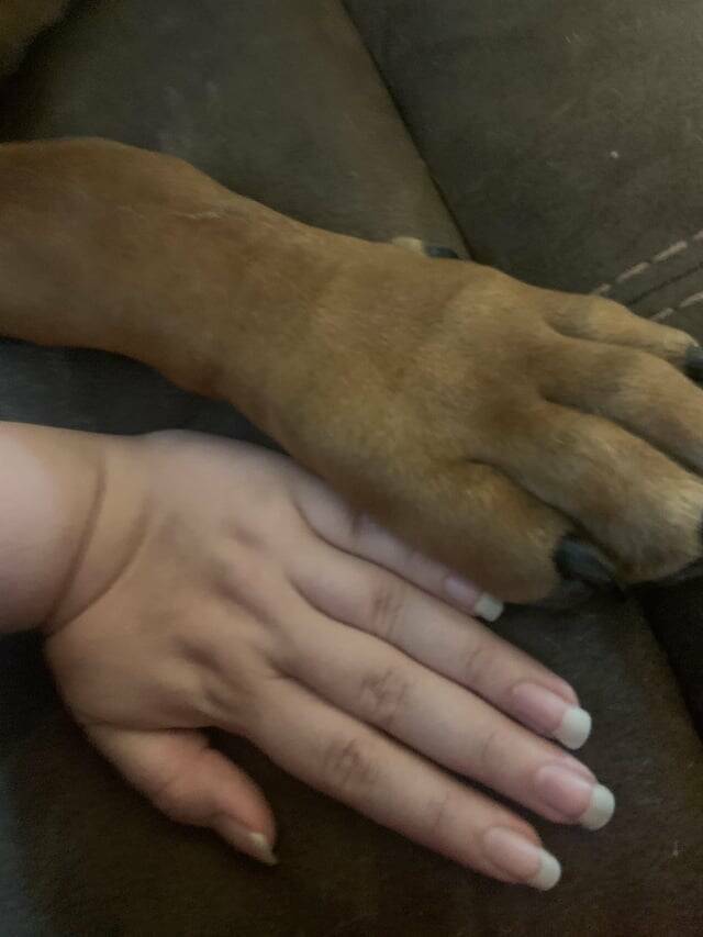 Daily Picdump Daily Picdump