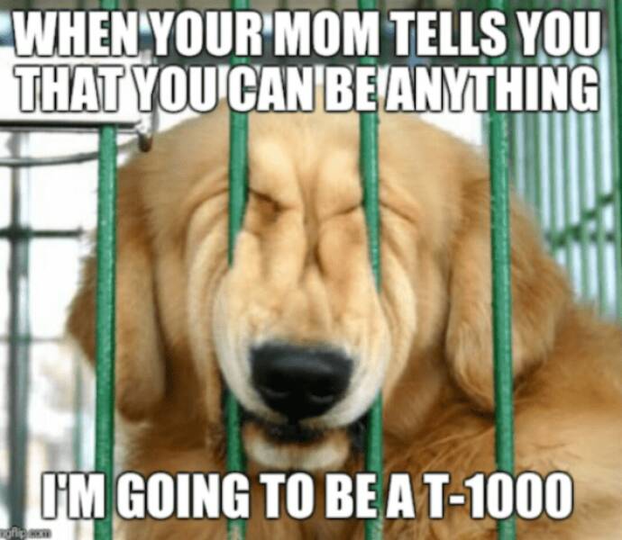 I’ll Be Back… with More Memes