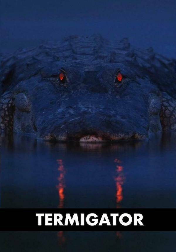 I’ll Be Back… with More Memes