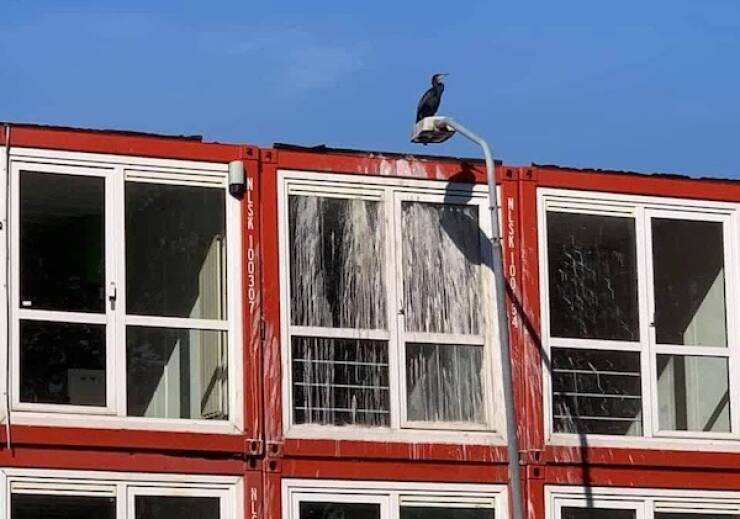 That Escalated Quickly That Escalated Quickly