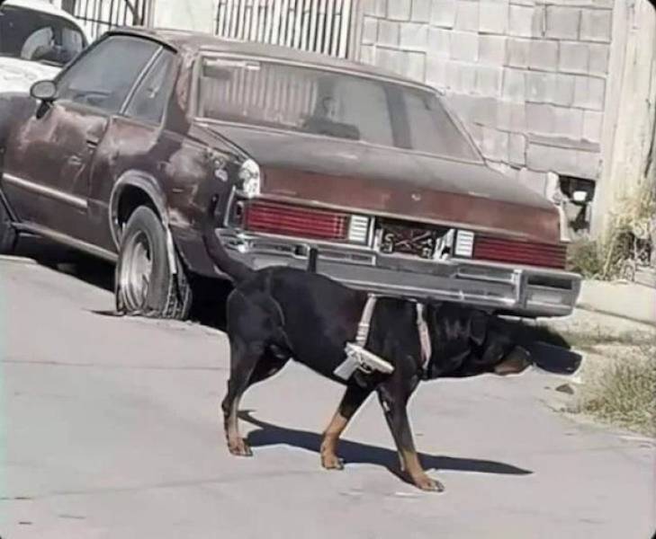 That Escalated Quickly That Escalated Quickly