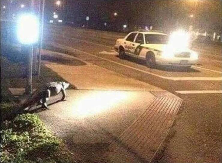 That Escalated Quickly