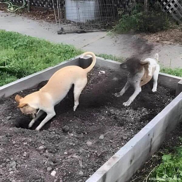 That Escalated Quickly