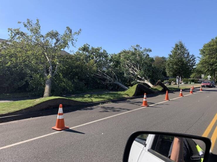 That Escalated Quickly