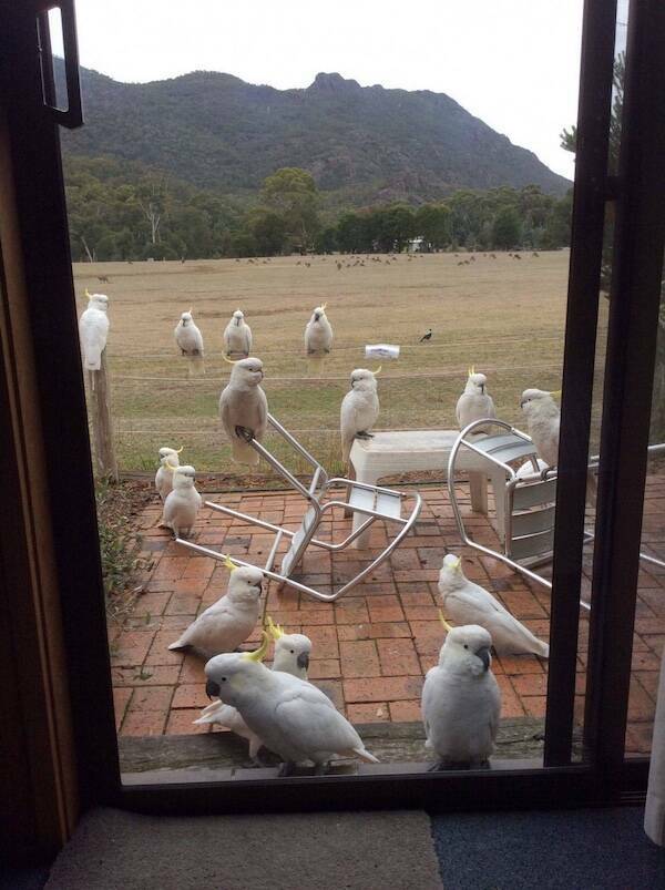 That Escalated Quickly That Escalated Quickly