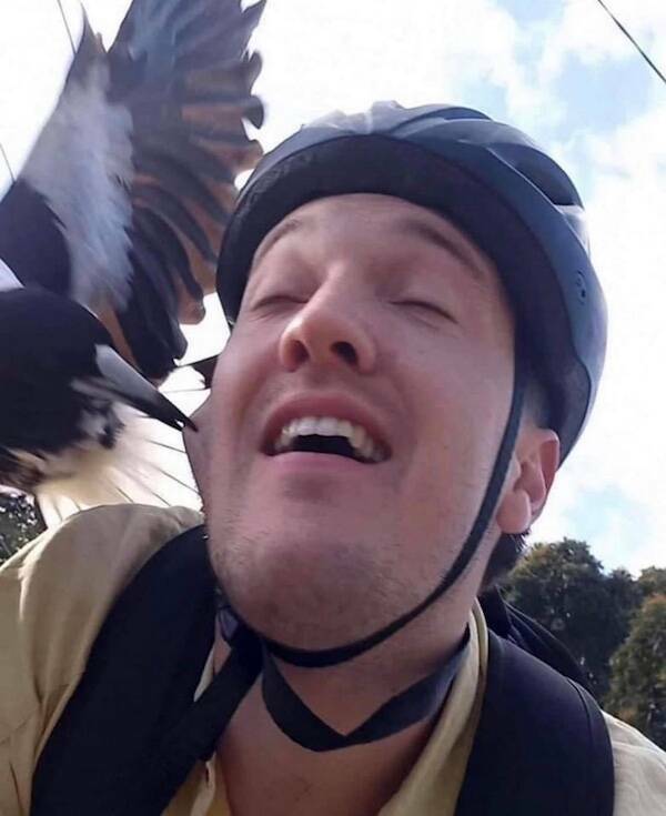 That Escalated Quickly