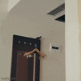 Daily Gifdump Daily Gifdump