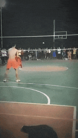 Daily Gifdump Daily Gifdump