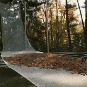 Daily Gifdump Daily Gifdump