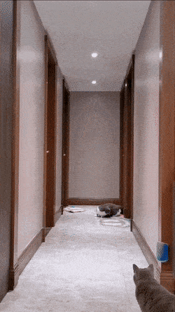 Daily Gifdump Daily Gifdump