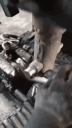 Daily Gifdump Daily Gifdump