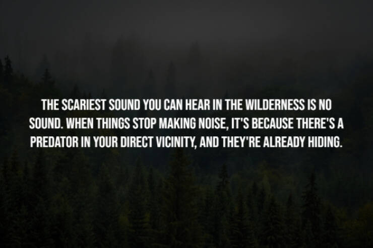 Creepy Facts You Can’t Unknow