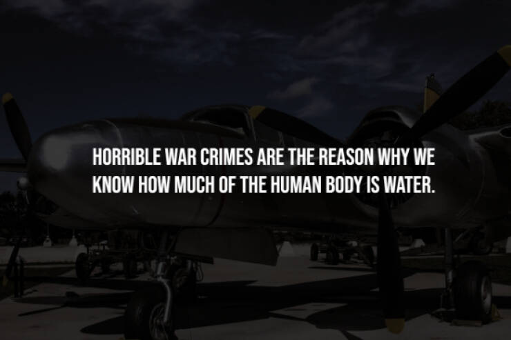 Creepy Facts You Can’t Unknow